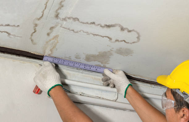 Reliable Mold Remediation contractor in Bowman, ND by Water Damage Irwin